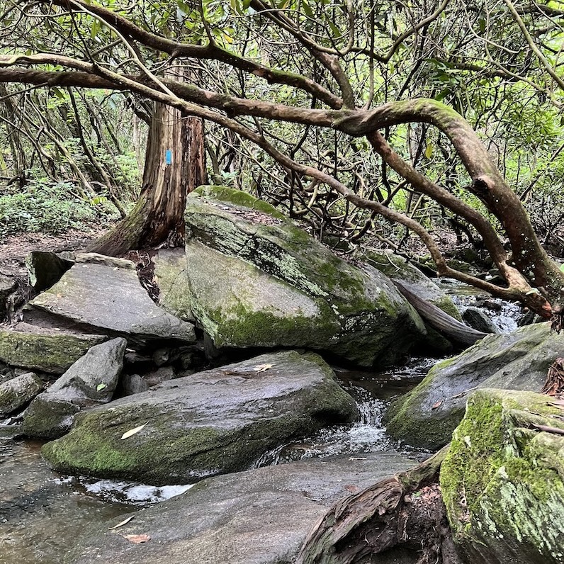 Rocky Stream