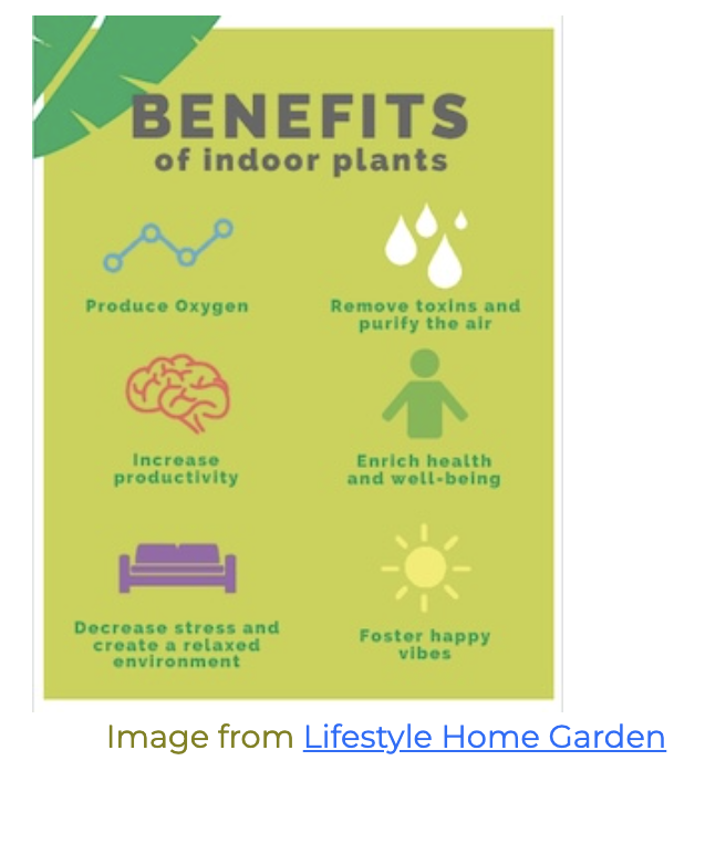 screenshot showing photo and link alignment